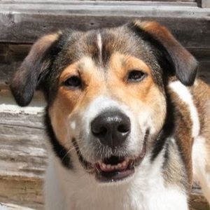 Meet your Posher, Malcolm